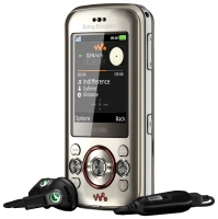 Sony-Ericsson W395