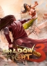 Fighting Shadow Fight 3