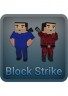 Shooter Block Strike