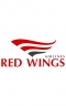 Airlines Red Wings