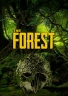 Horror The Forest